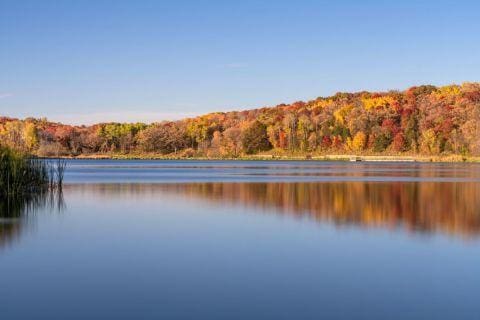 water view featuring a wooded view