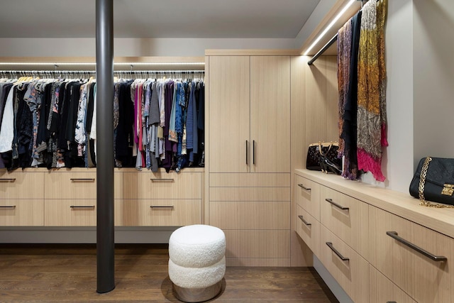 walk in closet with dark wood-style flooring