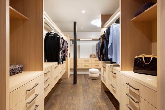 walk in closet featuring dark wood-type flooring