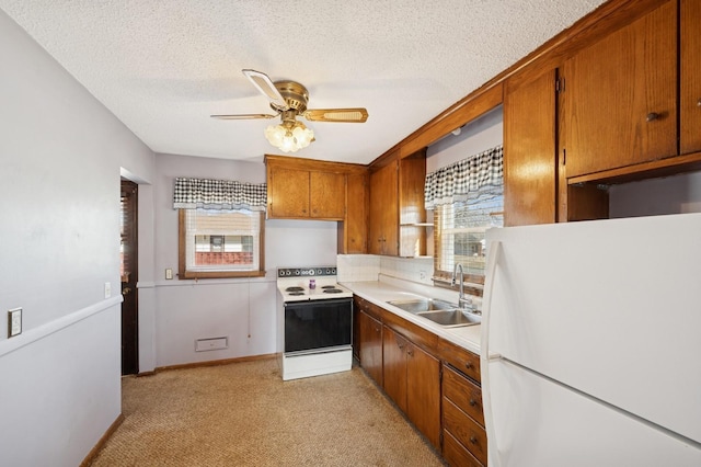 kitchen featuring a sink, white appliances, plenty of natural light, and brown cabinetry