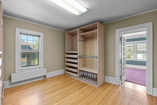 closet with radiator