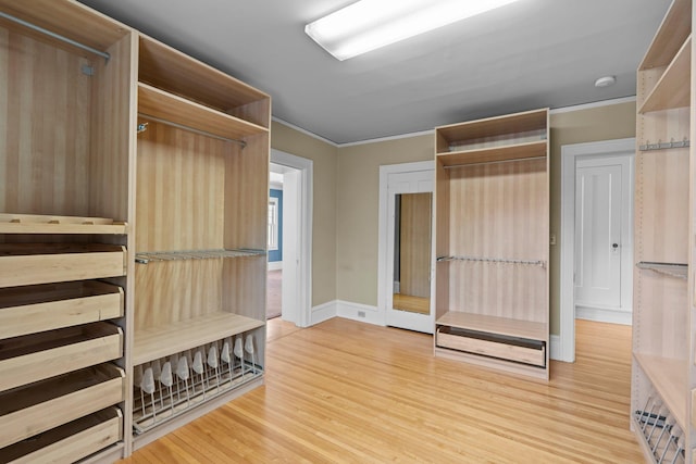 spacious closet featuring light wood-type flooring