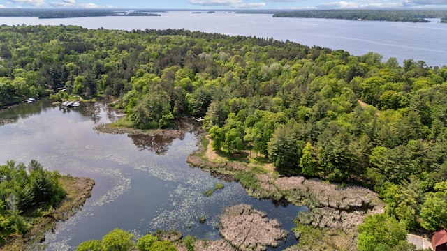 LOT1 Staley Ln, Crosslake, MN 56442 - photo 10