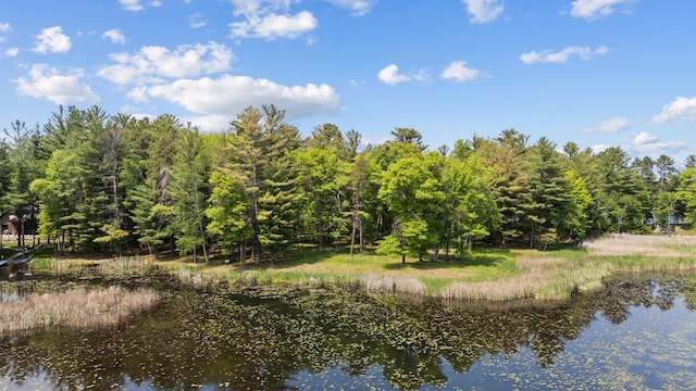 LOT1 Staley Ln, Crosslake, MN 56442 - photo 13