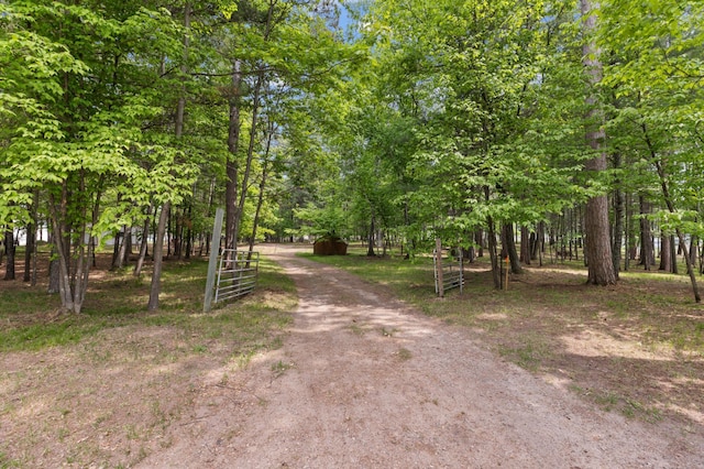 LOT1 Staley Ln, Crosslake, MN 56442 - photo 14