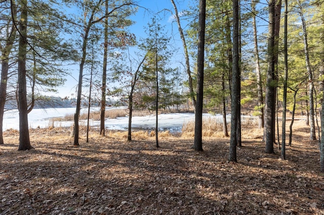 LOT1 Staley Ln, Crosslake, MN 56442 - photo 19