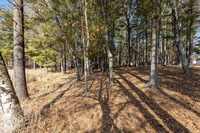 LOT1 Staley Ln, Crosslake, MN 56442 - photo 20
