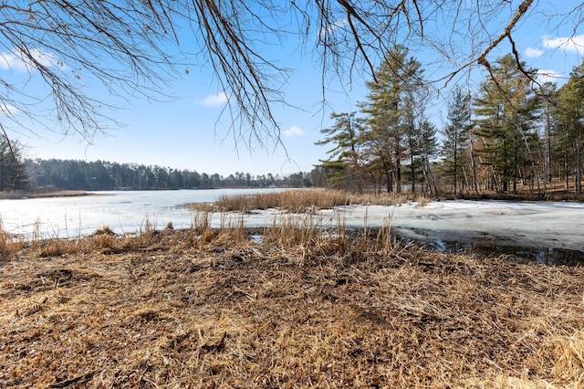 LOT1 Staley Ln, Crosslake, MN 56442 - photo 21