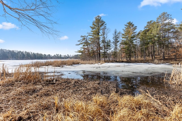 LOT1 Staley Ln, Crosslake, MN 56442 - photo 22