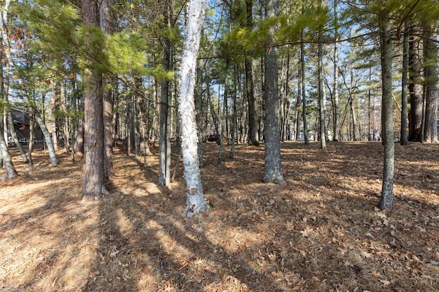LOT1 Staley Ln, Crosslake, MN 56442 - photo 23