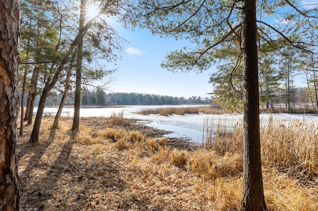LOT1 Staley Ln, Crosslake, MN 56442 - photo 24