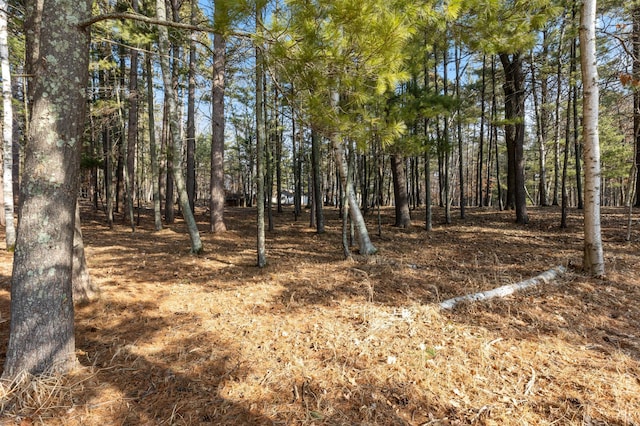 LOT1 Staley Ln, Crosslake, MN 56442 - photo 25