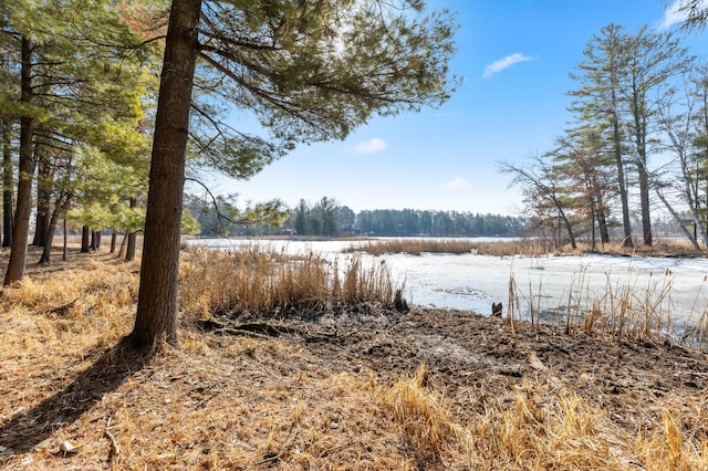 LOT1 Staley Ln, Crosslake, MN 56442 - photo 26