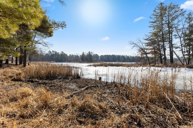 LOT1 Staley Ln, Crosslake, MN 56442 - photo 27