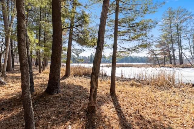 LOT1 Staley Ln, Crosslake, MN 56442 - photo 28