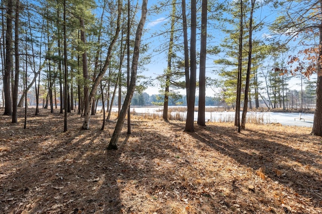LOT1 Staley Ln, Crosslake, MN 56442 - photo 29