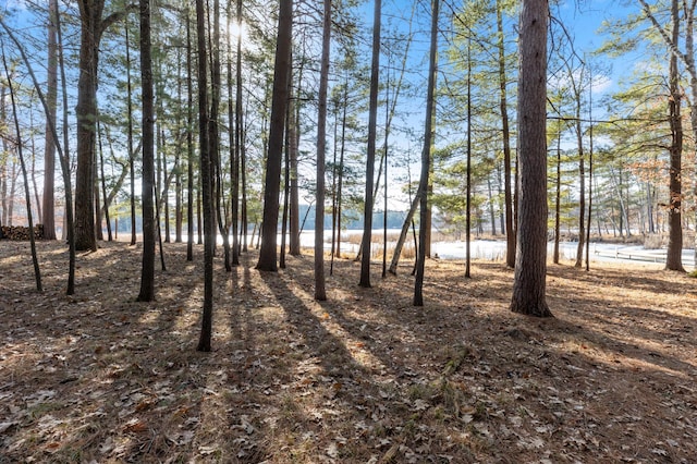 LOT1 Staley Ln, Crosslake, MN 56442 - photo 30