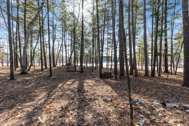 LOT1 Staley Ln, Crosslake, MN 56442 - photo 31
