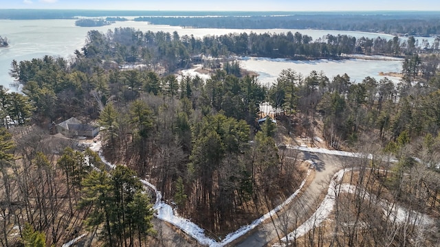 LOT1 Staley Ln, Crosslake, MN 56442 - photo 34