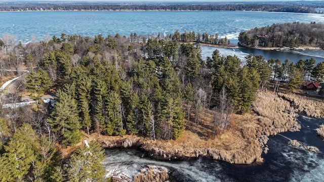 LOT1 Staley Ln, Crosslake, MN 56442 - photo 36