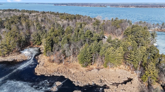 LOT1 Staley Ln, Crosslake, MN 56442 - photo 38
