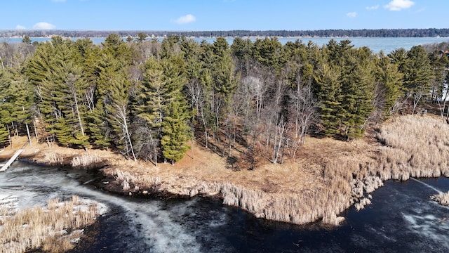 LOT1 Staley Ln, Crosslake, MN 56442 - photo 40