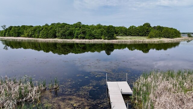 32406 Starland Shore Dr, Dent, MN 56528 - dock with a water view and a forest view