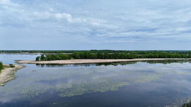 32406 Starland Shore Dr, Dent, MN 56528 - water view featuring a forest
