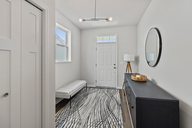 foyer featuring a healthy amount of sunlight, baseboards, and wood finished floors