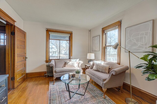 2538 Jefferson St NE, Minneapolis, MN 55418 - living area featuring plenty of natural light, light wood-style flooring, and baseboards
