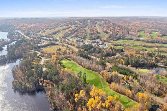 drone / aerial view featuring a view of trees and a water view