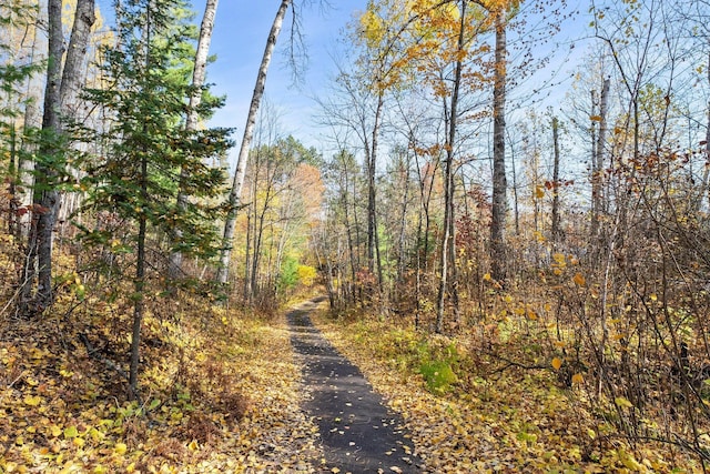 view of street featuring a forest view