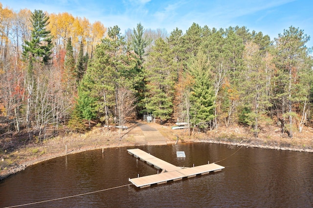 view of dock featuring a water view and a view of trees