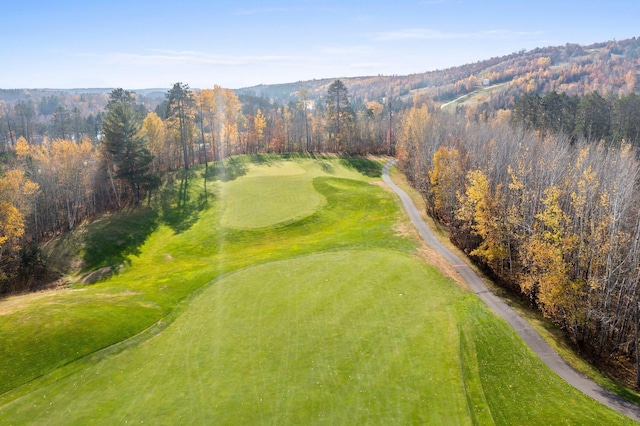 bird's eye view with a view of trees