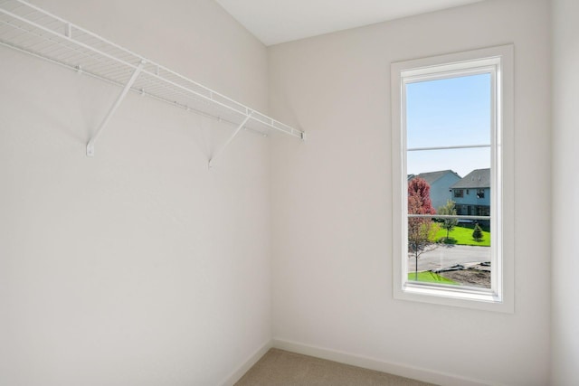 spacious closet with light carpet