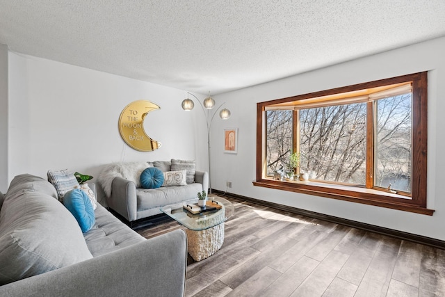 living room featuring wood finished floors, a textured ceiling, and baseboards