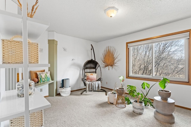 interior space featuring carpet, baseboards, and a textured ceiling