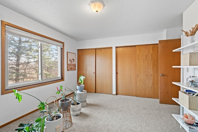 interior space featuring two closets, carpet floors, and a textured ceiling