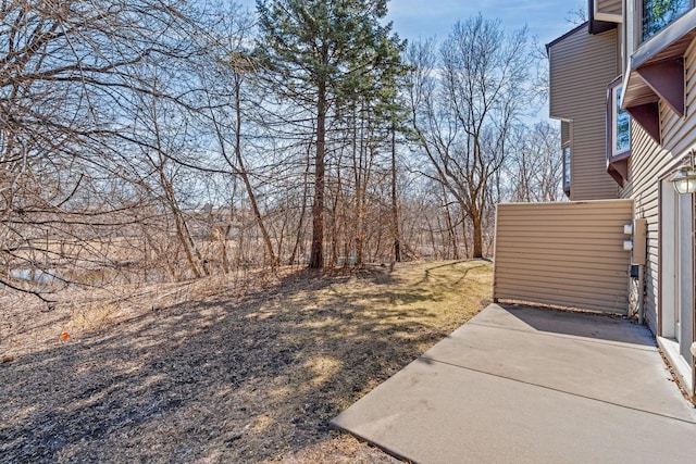 view of yard featuring a patio