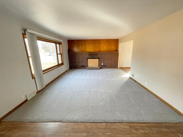 421 Van Dusen St, Springfield, MN 56087 - unfurnished living room with baseboards and carpet flooring