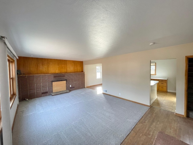 421 Van Dusen St, Springfield, MN 56087 - unfurnished living room with light wood finished floors, a fireplace, wood walls, and baseboards