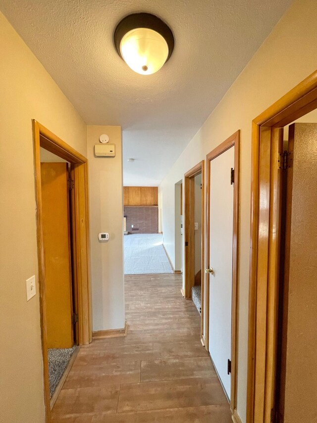 421 Van Dusen St, Springfield, MN 56087 - hallway with wood finished floors and a textured ceiling