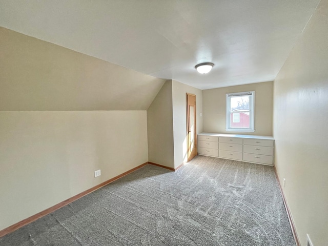 421 Van Dusen St, Springfield, MN 56087 - bonus room with light carpet, baseboards, and vaulted ceiling
