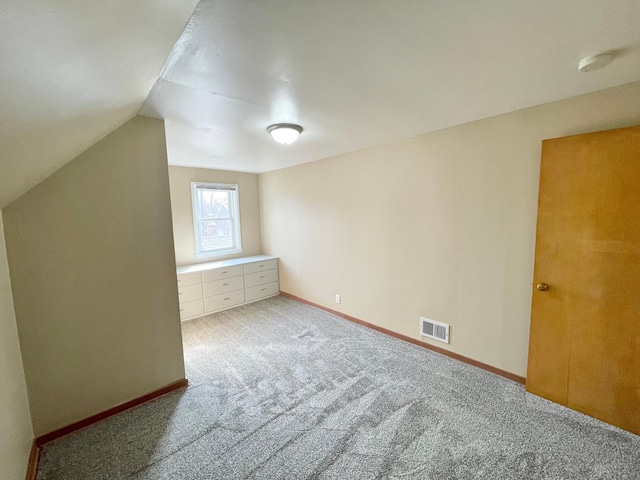 421 Van Dusen St, Springfield, MN 56087 - additional living space with carpet floors, vaulted ceiling, and baseboards