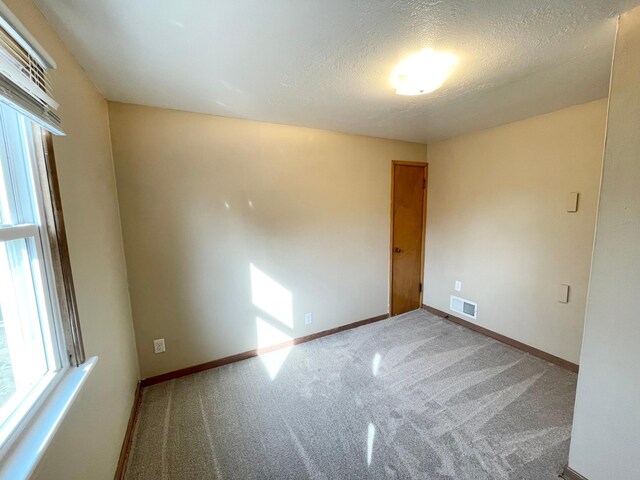 421 Van Dusen St, Springfield, MN 56087 - spare room with carpet, a textured ceiling, and baseboards
