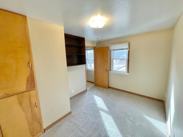 421 Van Dusen St, Springfield, MN 56087 - unfurnished bedroom with light colored carpet and baseboards