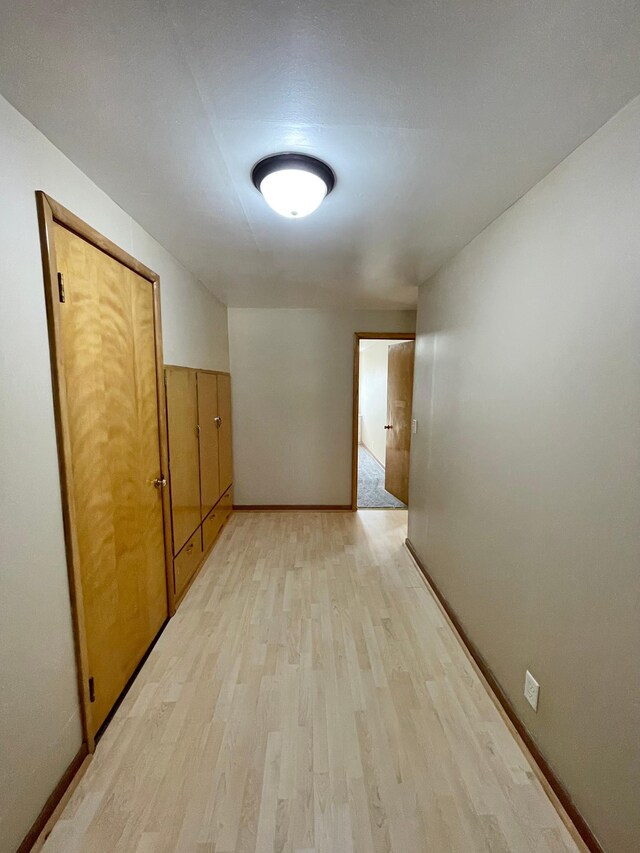 421 Van Dusen St, Springfield, MN 56087 - empty room with light wood-style flooring and baseboards