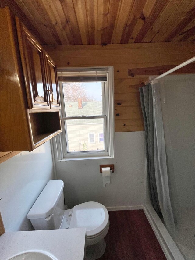 421 Van Dusen St, Springfield, MN 56087 - full bathroom with toilet, a shower stall, wooden ceiling, vanity, and wood finished floors