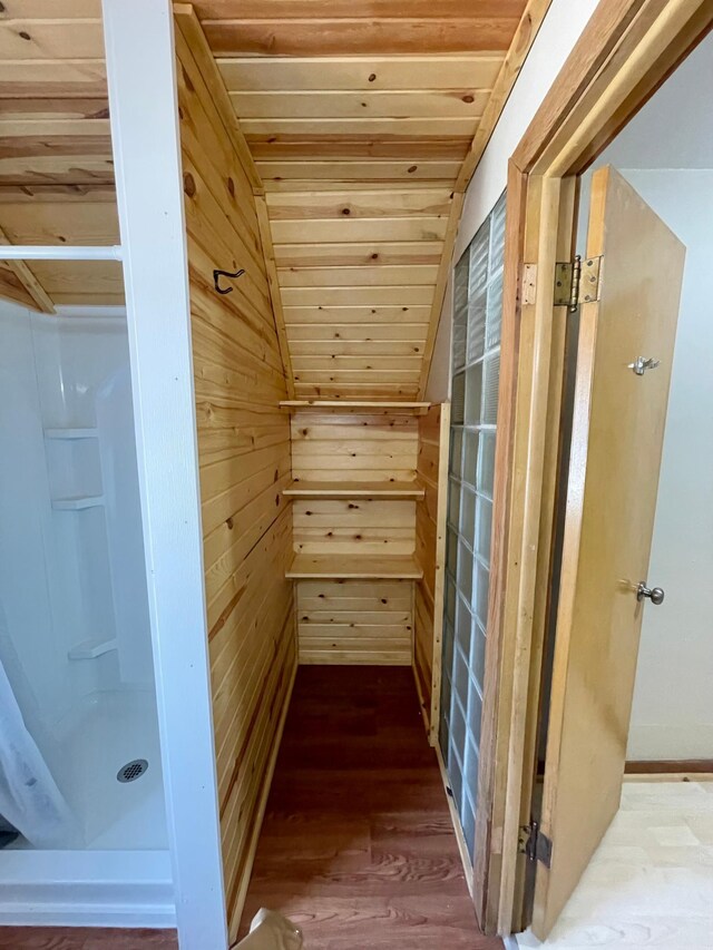 421 Van Dusen St, Springfield, MN 56087 - sauna / steam room featuring wooden walls, wood ceiling, and wood finished floors
