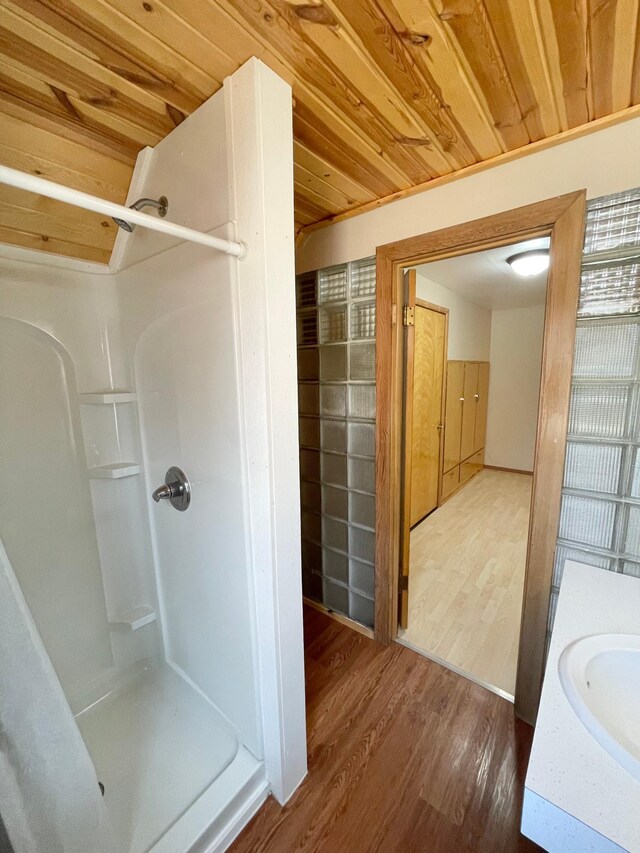 421 Van Dusen St, Springfield, MN 56087 - bathroom featuring wood finished floors, walk in shower, and vanity